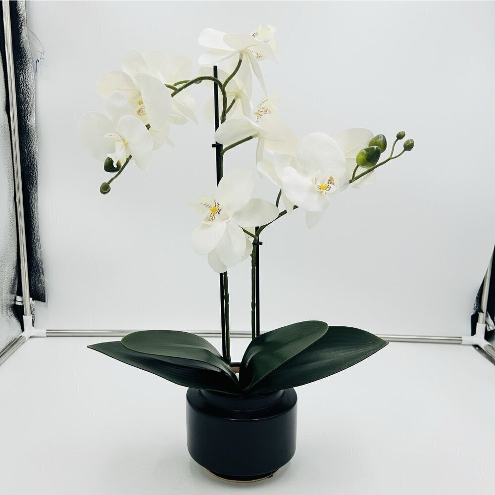 White Phalaenopsis 19" Orchid Artificial Flowers with Black Vase Arrangement